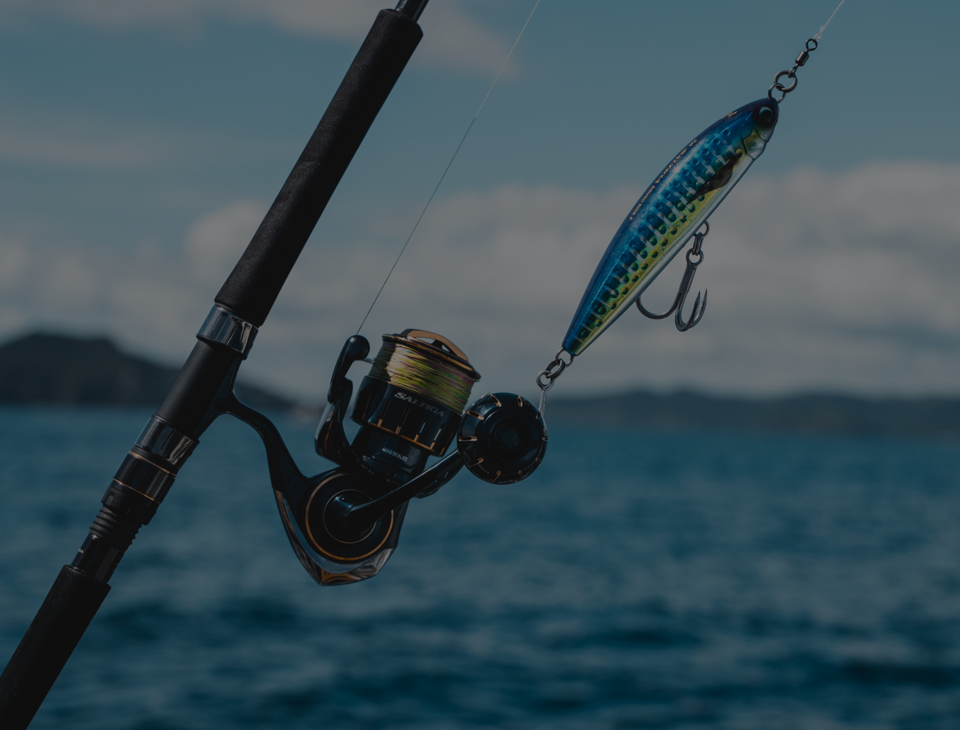 Reel Techno Daiwa Australia Reel Techno Daiwa Australia
