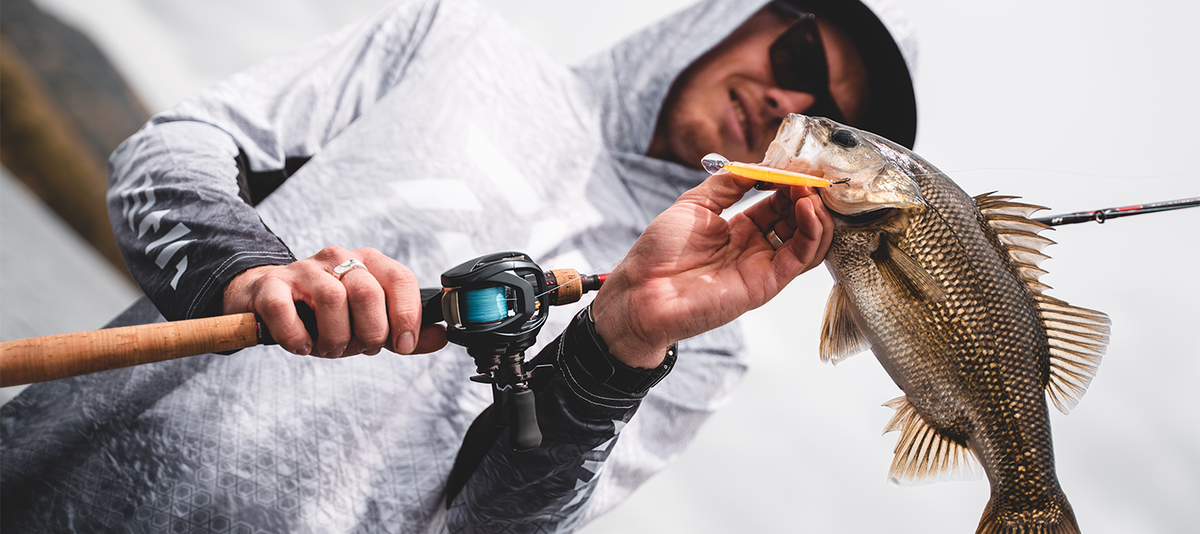23 STEEZ A Ⅱ TW – Daiwa Australia 23 STEEZ A Ⅱ TW – Daiwa Australia