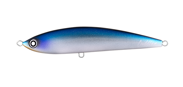 Saltiga Cuddler 185F – Daiwa Australia