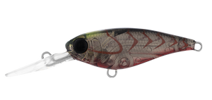 INFEET KODACHI 40SF SUJI BERRY