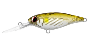 INFEET KODACHI 40SF ADEL AYU