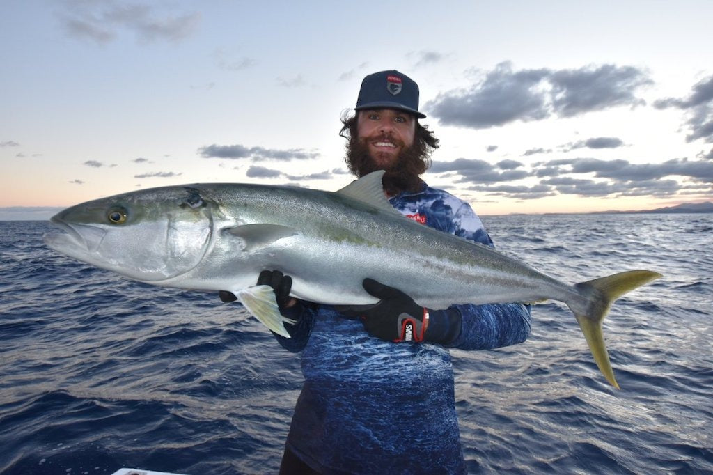 How to Catch Kingfish (Beginners Guide) – Daiwa Australia