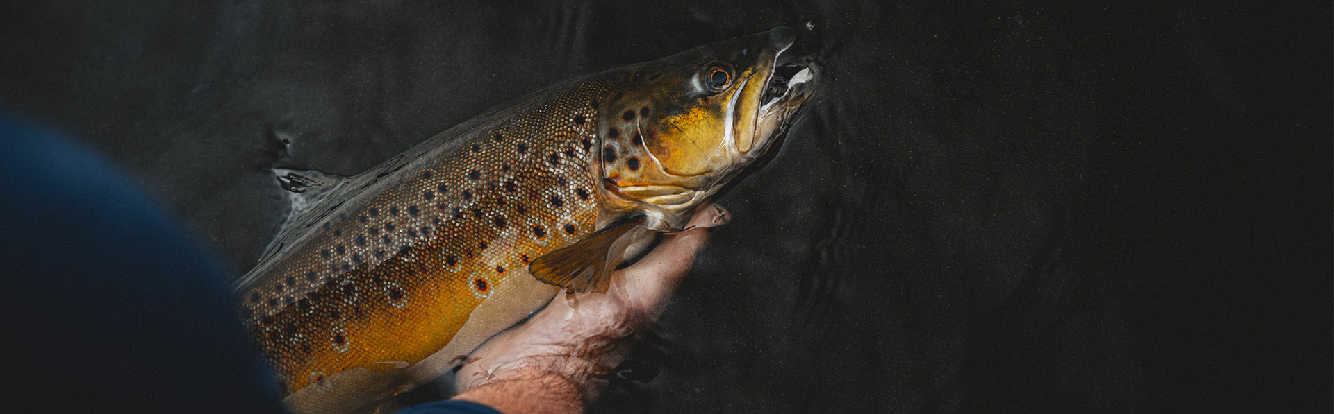 Freshwater Fishing