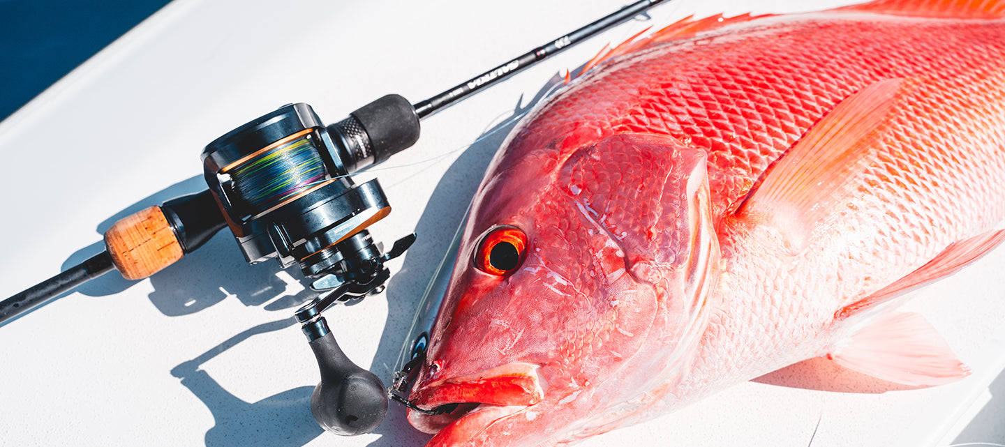 Saltiga 10 – Daiwa Australia