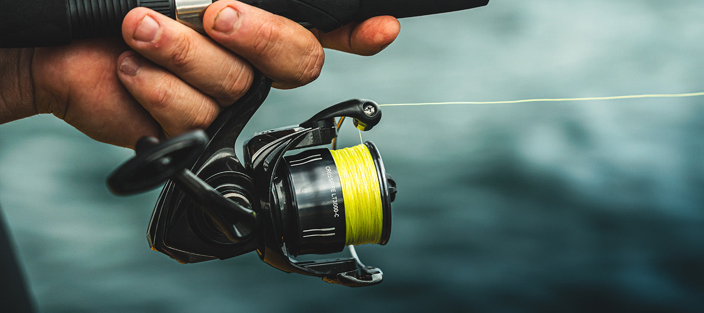 26 Crossfire LT – Daiwa Australia