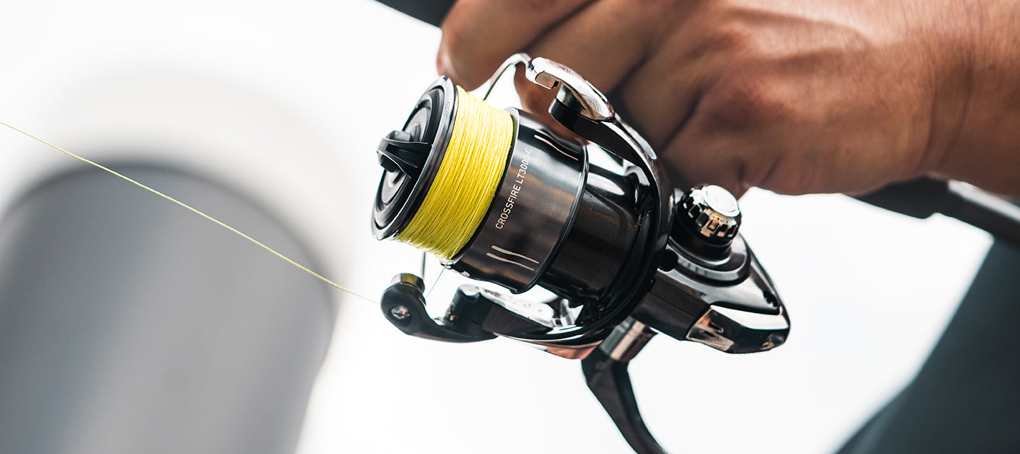 26 Crossfire LT – Daiwa Australia