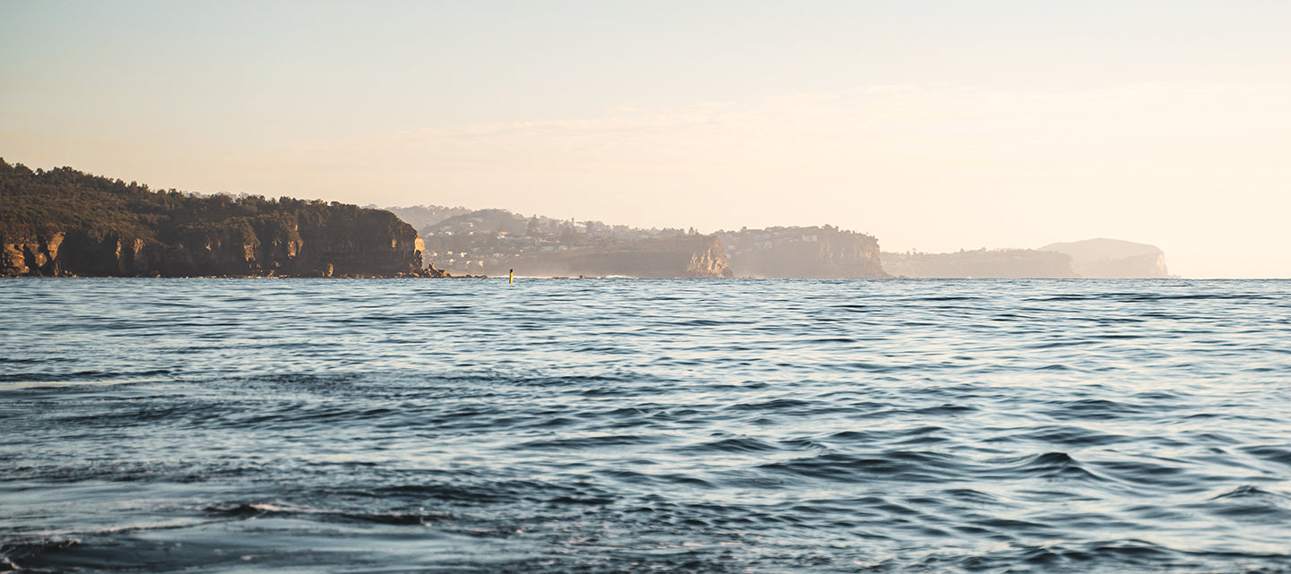 Saltwater Life Down Under