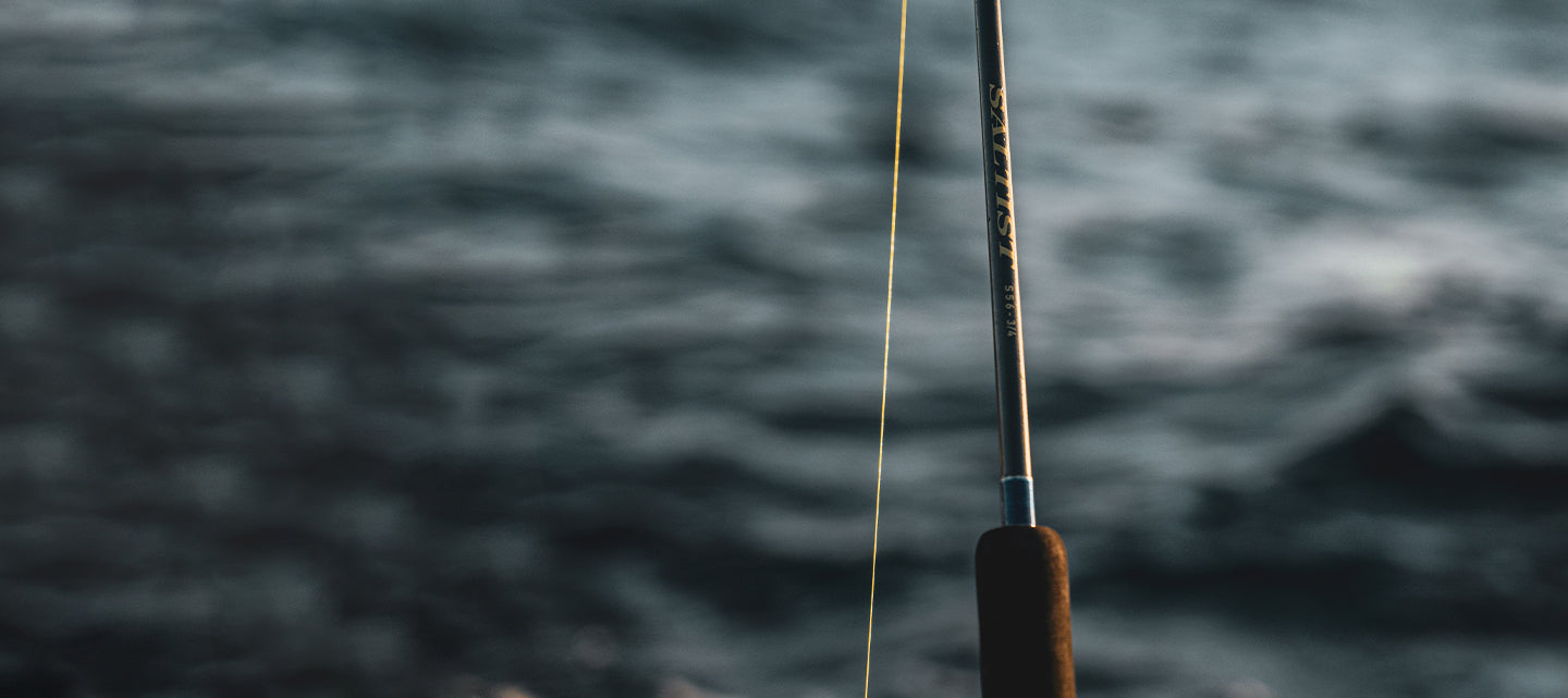 daiwa 23 saltist 23 Saltist – Daiwa Australia