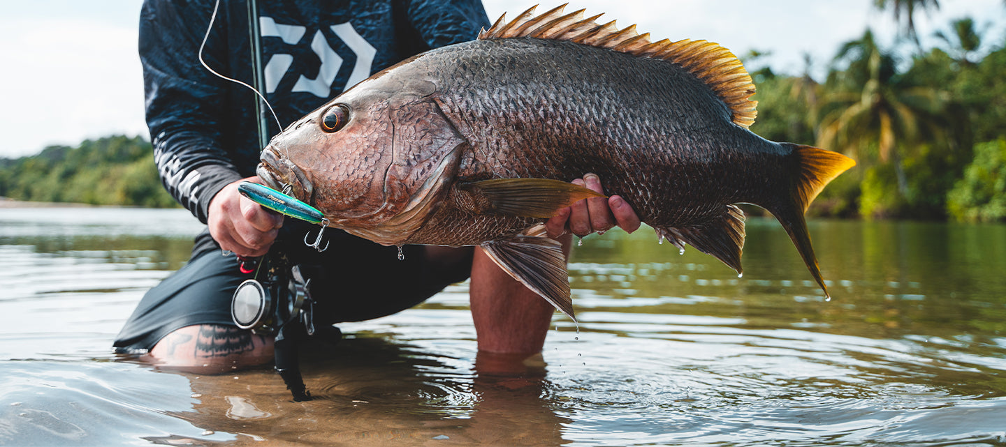 26 RYOGA – Daiwa Australia