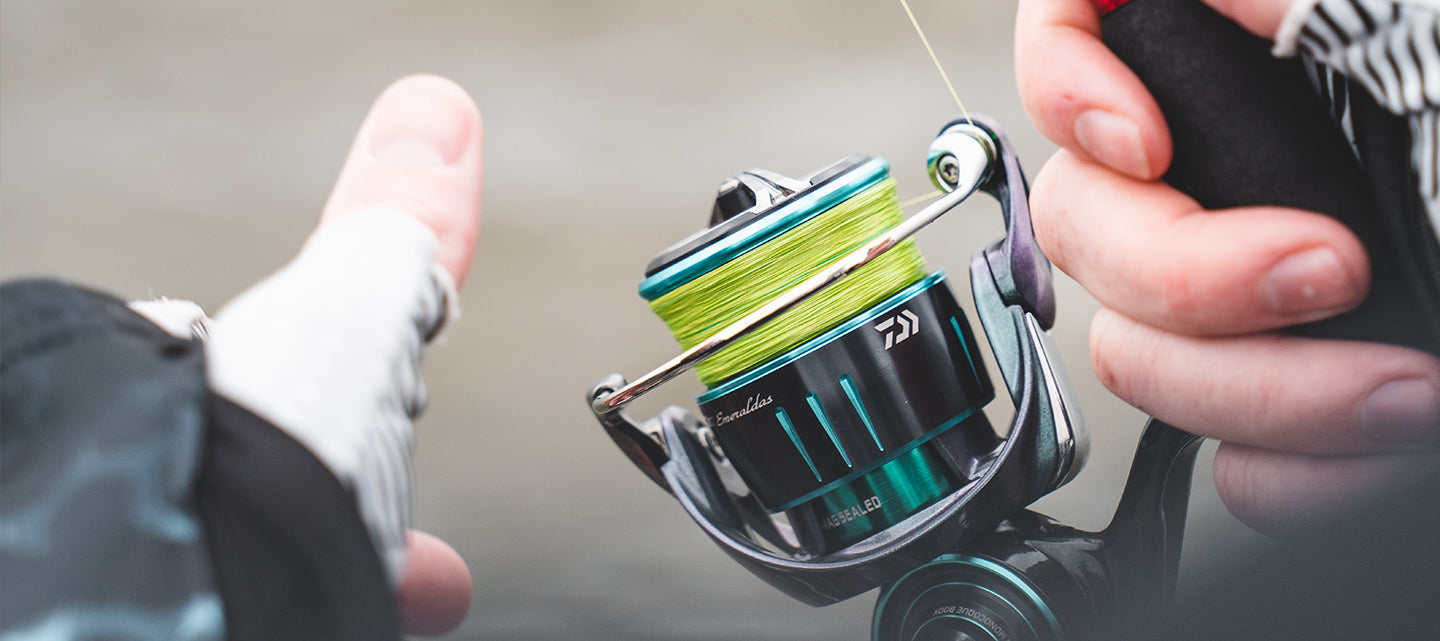 23 Emeraldas RX LT – Daiwa Australia 23 Emeraldas RX LT – Daiwa Australia