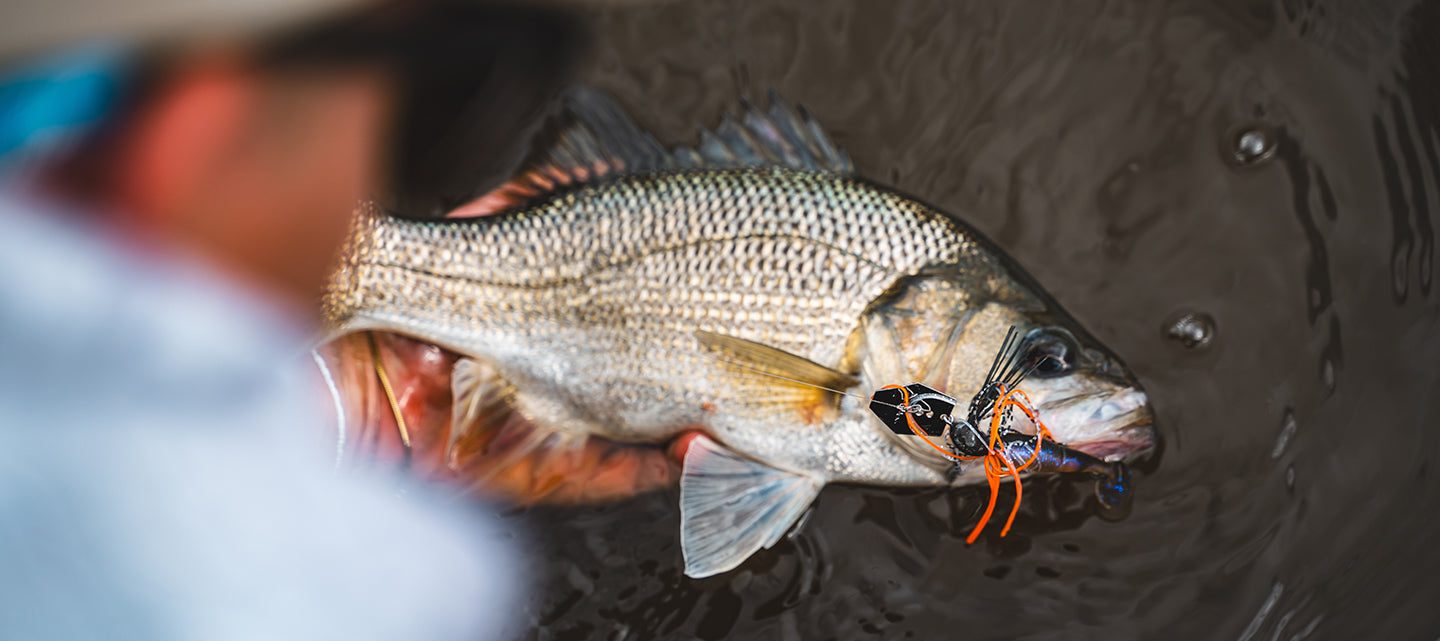 TD BATTLER AGS – Daiwa Australia