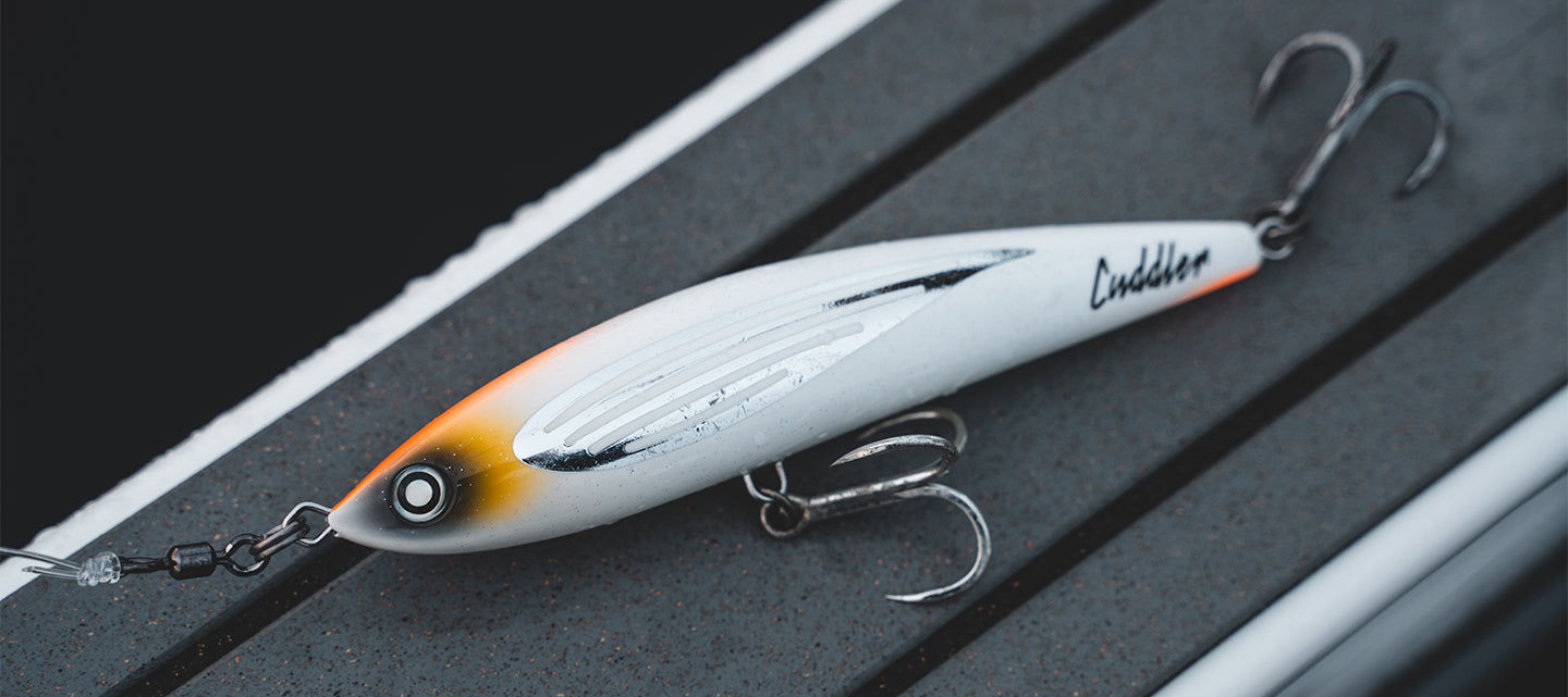 Saltiga Cuddler 200F – Daiwa Australia