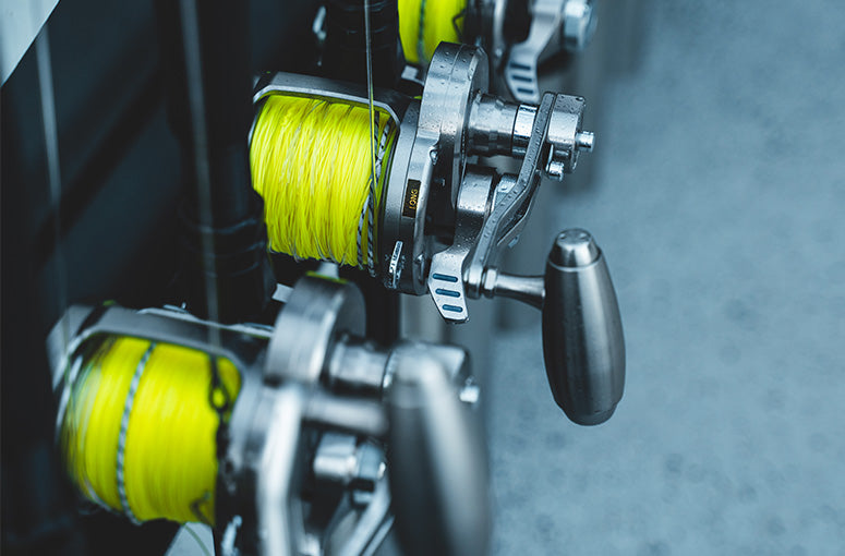 Gallery Thumb Image 2