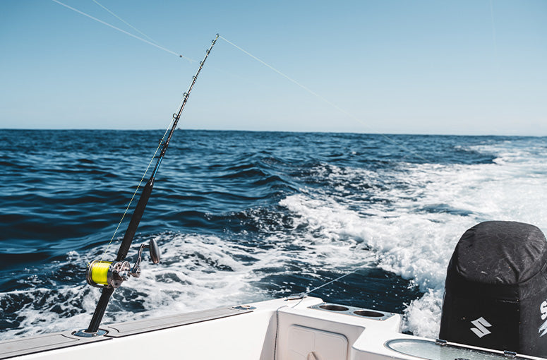 Gallery Thumb Image 3