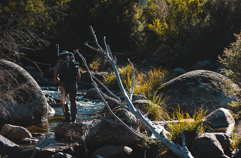 Gallery Thumb Image 1