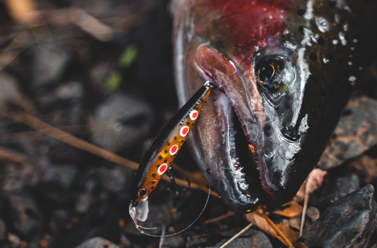 Gallery Thumb Image 3