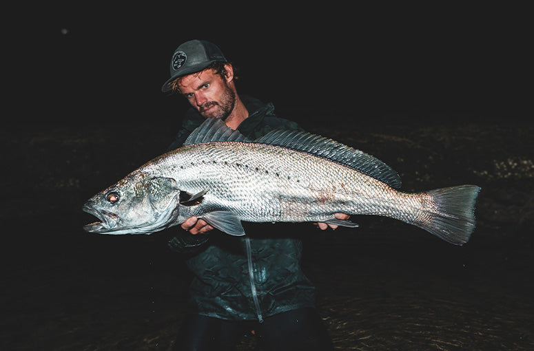 Gallery Thumb Image 2