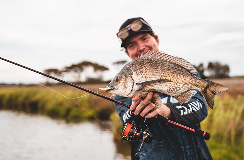 Gallery Thumb Image 2