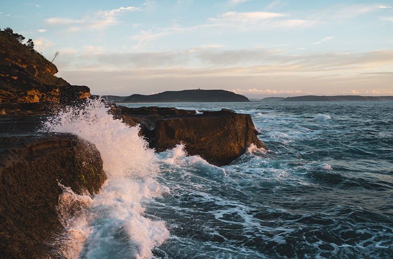 Gallery Thumb Image 1