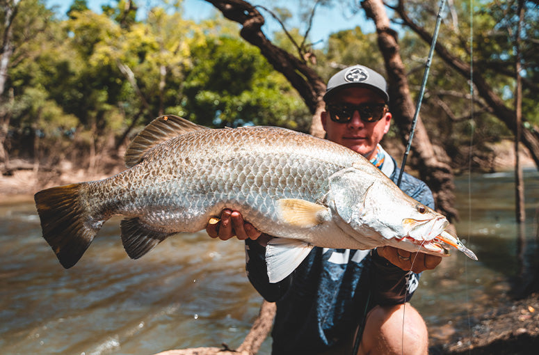 Gallery Thumb Image 4