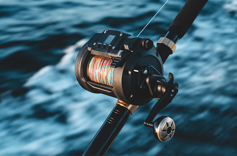 Gallery Thumb Image 4