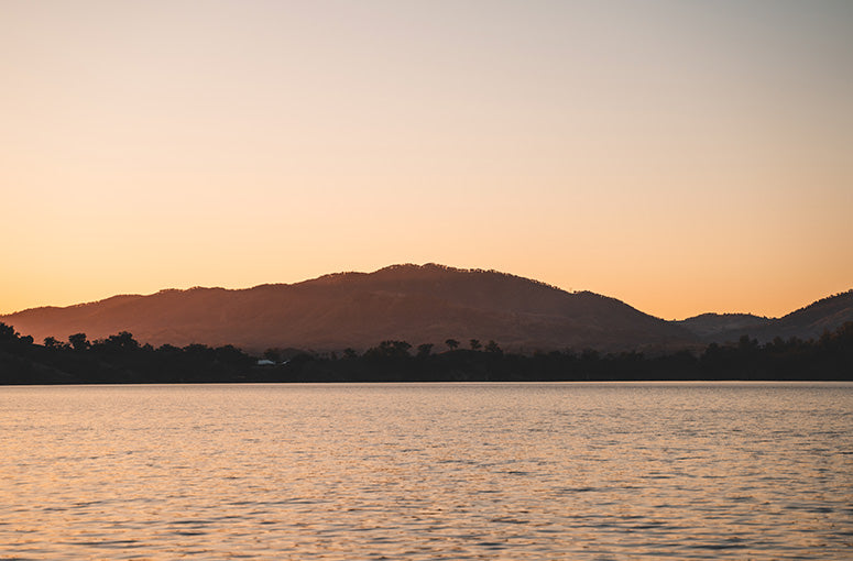 Gallery Thumb Image 1