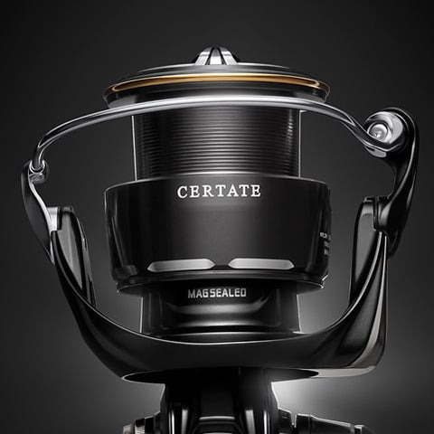 Certate Series - Identity 2