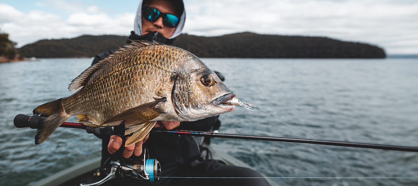 SKELETON DAIWA FIRSTSPIN BICMASTER 等 釣り竿 バス釣り 海釣り