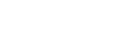 JOG POWER LEVER