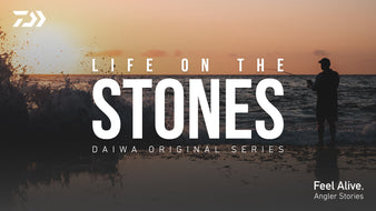 Life on the stones