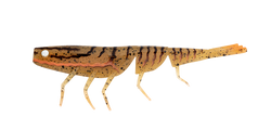BAIT JUNKIE 4 PRAWN  PUMPKIN SPICE #90