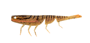 BAIT JUNKIE 4 PRAWN  PUMPKIN SPICE #90