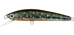 SilverCreek Minnow 60F BROOK TROUT