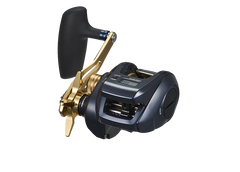 Opt-Reel-Profile-1_e1d9f488-