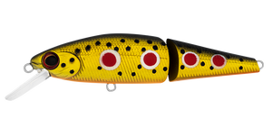 SILVERCREEK DR MINNOW JOINT 70F GOLDEN RETRIEVER