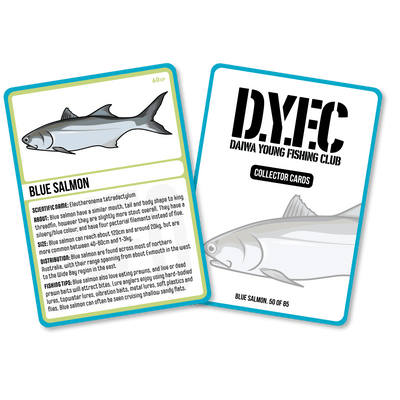 Blue Salmon