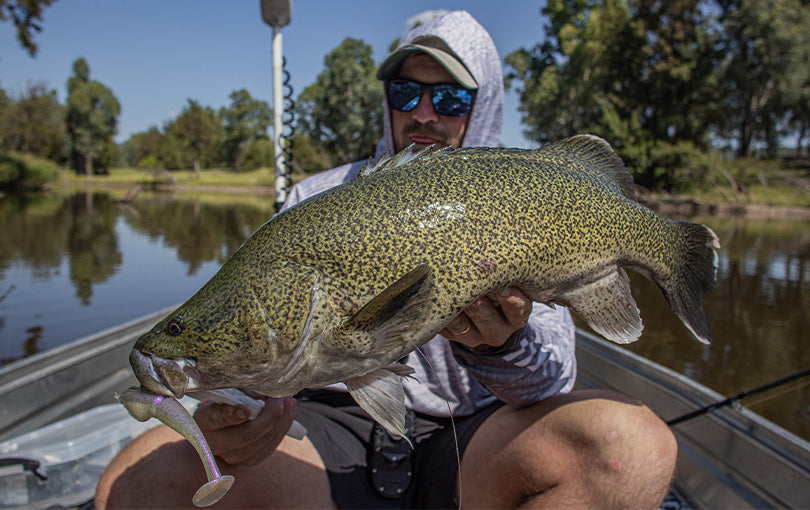 Gallery Thumb Image 3