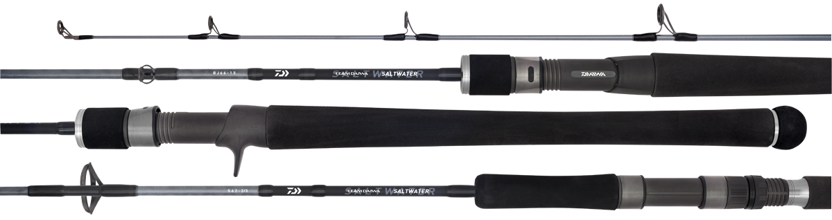 Cheap, Durable, and Sturdy Daiwa Fishing Rod For All 