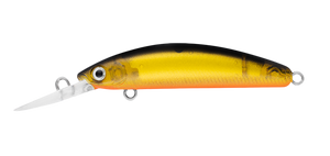 DOUBLE CLUTCH 48SP IP BLACK GOLD