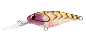 INFEET KODACHI ROSE SUJI