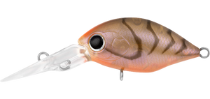 INFEET ROLLING CRANK DR  BROWN SUJI UV