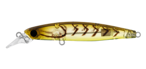 INFEET SAZANAMI 60SP MOEBI