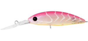 INFEET SPIKE 53 SAKURA SUJI