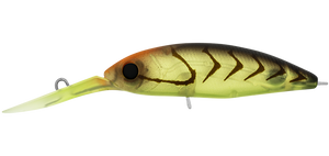 INFEET SPIKE 53 WEEDY SUJI