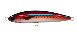 SALTIGA ROUGHRIDE 160F RED FLASH