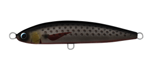 SALTIGA ROUGHRIDE 160F BRF