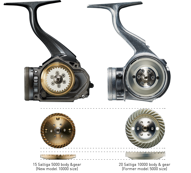 20 Saltiga Spin Reels Daiwa Australia
