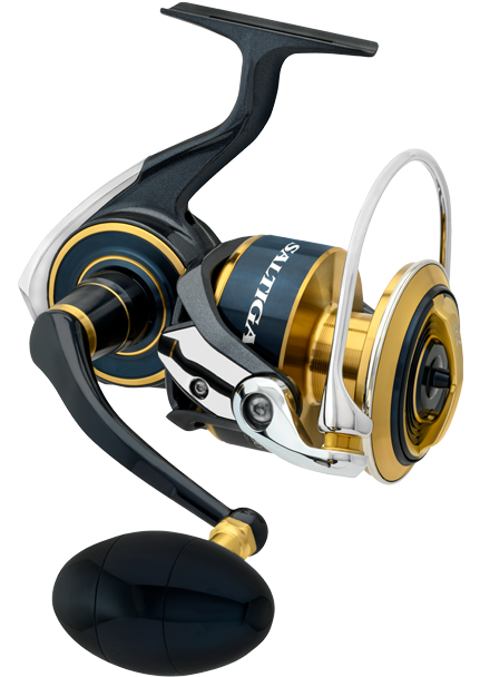 20 Saltiga – Daiwa Australia