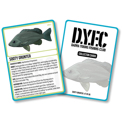 free sooty grunter card